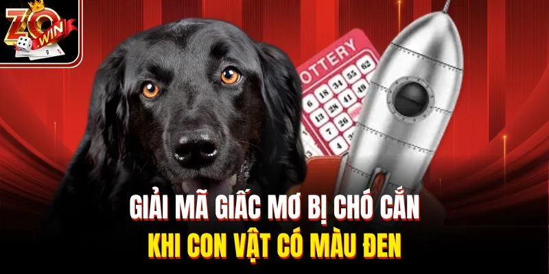 Giải mã giấc mơ bị chó cắn khi con vật có màu đen