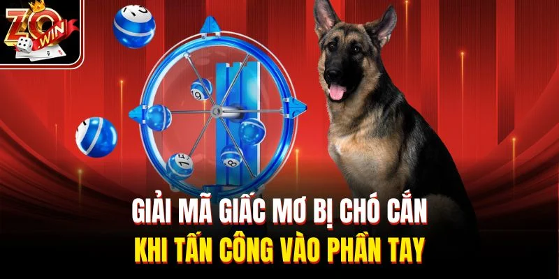 Giải mã giấc mơ bị chó cắn khi tấn công vào phần tay