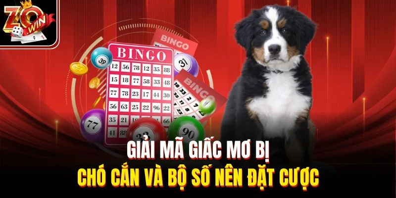 Giải mã giấc mơ bị chó cắn và bộ số nên đặt cược