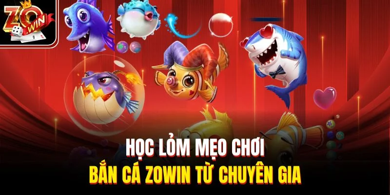 Học lỏm mẹo chơi bắn cá Zowin từ chuyên gia