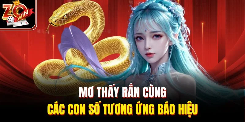 Mơ thấy rắn cùng các con số tương ứng báo hiệu