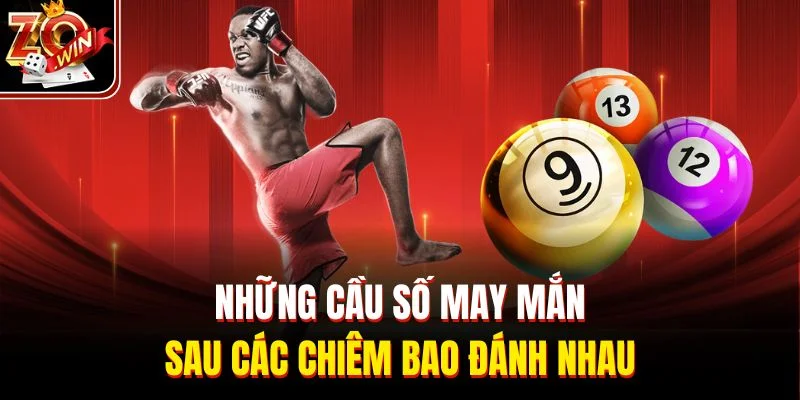 Những cầu số may mắn sau các chiêm bao đánh nhau